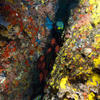 Picture taken during the dive