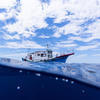 Picture taken during the dive