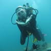 Picture taken during the dive