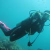 Picture taken during the dive