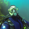 Picture taken during the dive