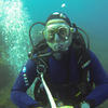 Picture taken during the dive