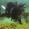 Picture taken during the dive