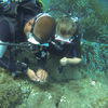 Picture taken during the dive