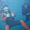 Picture taken during the dive