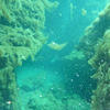 Picture taken during the dive