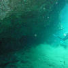 Picture taken during the dive