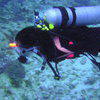 Picture taken during the dive