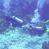 Picture taken during the dive