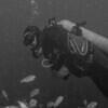 Picture taken during the dive