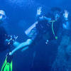 Picture taken during the dive