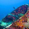 Picture taken during the dive