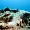 Picture taken during the dive