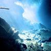 Picture taken during the dive