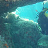 Picture taken during the dive