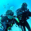 Picture taken during the dive