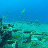 Picture taken during the dive