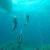 Picture taken during the dive