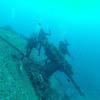 Picture taken during the dive