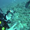 Picture taken during the dive