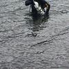 Picture taken during the dive