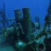 Picture taken during the dive