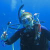 Picture taken during the dive