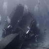 Picture taken during the dive