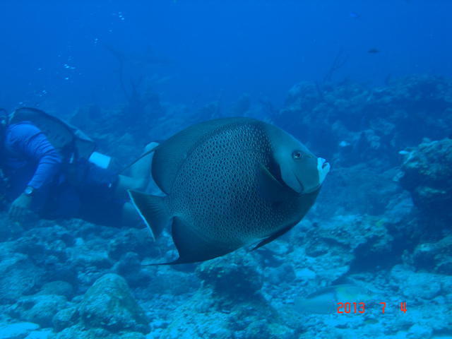 Waihuka Adventure Divers - Dive Center in Honduras
