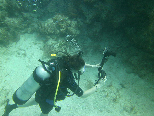 Scuba Fun - Dive Center in United States