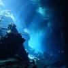 Picture taken during the dive