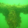 Picture taken during the dive