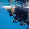 Picture taken during the dive