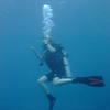 Picture taken during the dive