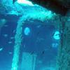 Picture taken during the dive