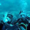 Picture taken during the dive