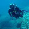 Picture taken during the dive
