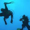 Picture taken during the dive