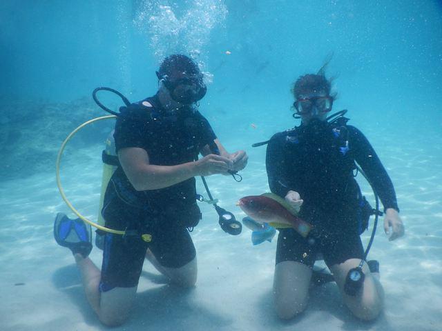 Coki Beach Dive Club - Dive Center