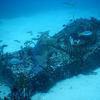 Picture taken during the dive