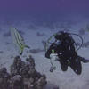 Picture taken during the dive