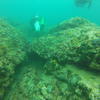Picture taken during the dive