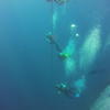 Picture taken during the dive