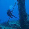 Picture taken during the dive