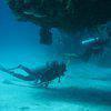 Picture taken during the dive
