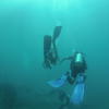 Picture taken during the dive