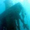 Picture taken during the dive