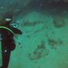 Picture taken during the dive
