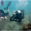 Picture taken during the dive