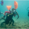 Picture taken during the dive